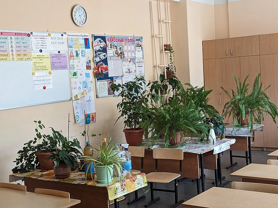summer empty classroom, potted flowers on tables, 2023